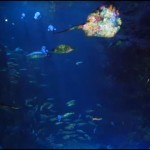 新江ノ島水族館ナイトワンダーアクアリウム｜役立ち情報ナビ
